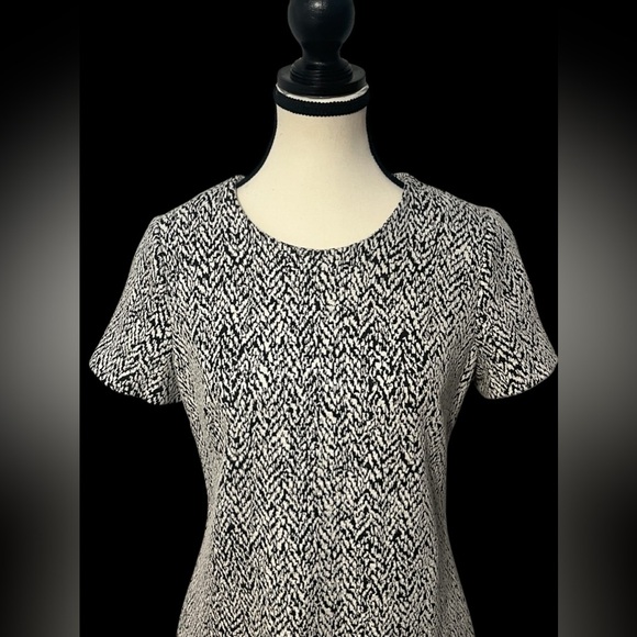 Calvin Klein Women’s size 8 Chic Black and White Patterned Dress gold zipper - Picture 3 of 10